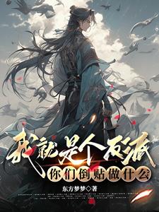 我就是个反派,你们倒贴做什么?